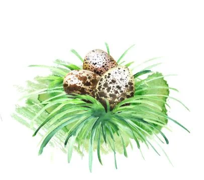 Easter eggs in grass Illustrazione stock
