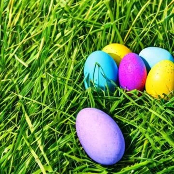 Easter Eggs in Grass Ilustração Stock