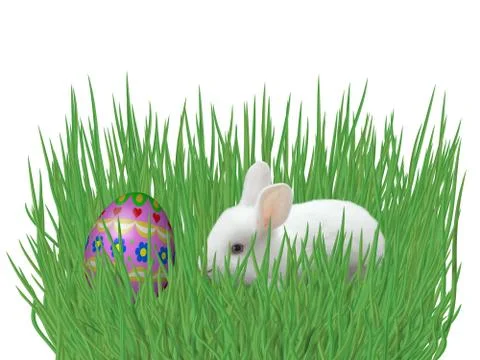 Easter eggs on grass isolated on white background Stock Illustration