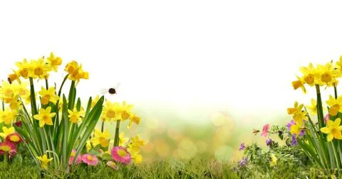 Easter eggs grass meadow plush plush toy banner spring Stock Photos