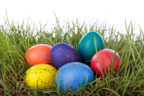 Easter eggs on grass over white Stock Photos