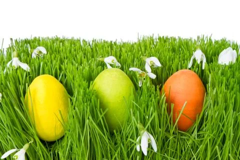 Easter eggs in grass Stock Photos