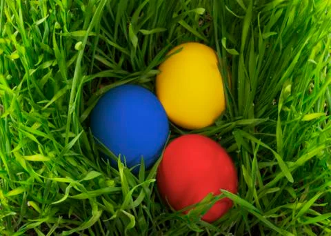 Easter eggs in the grass Stock Photos