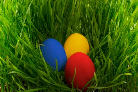 Easter eggs in the grass Foto stock