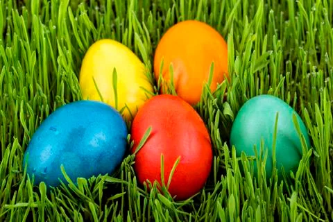 Easter eggs in a grass Stock Photos