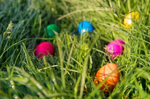 Easter eggs in grass Stock Photos
