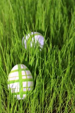 Easter eggs in grass Stock Photos