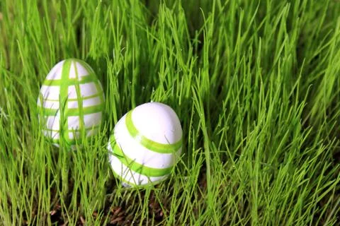 Easter eggs in grass Stock Photos