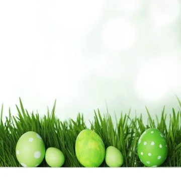 Easter eggs in grass Stock Photos