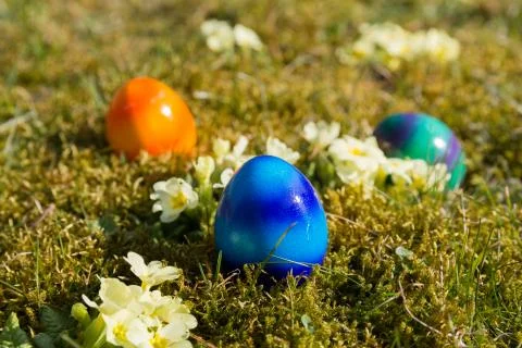 Easter eggs in the grass Stock Photos