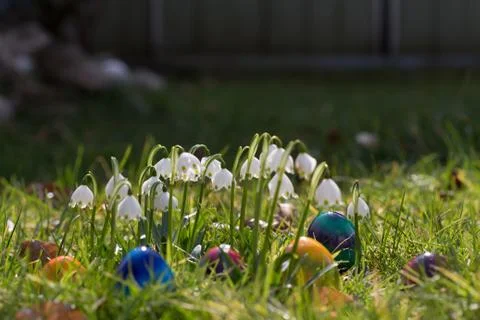 Easter eggs in the grass Stock Photos