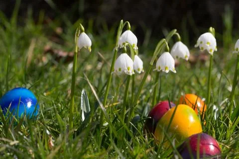 Easter eggs in the grass Stock Photos