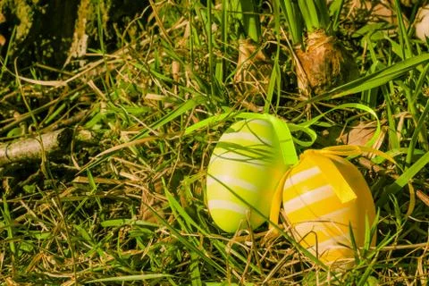 Easter eggs on grass Stock Photos