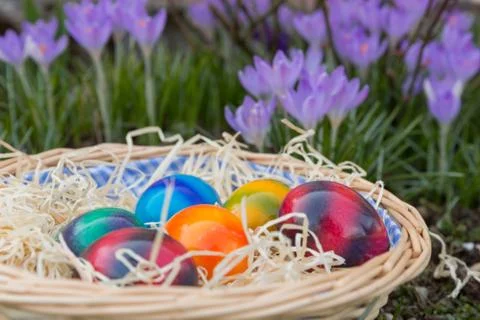 Easter eggs in the grass Stock Photos