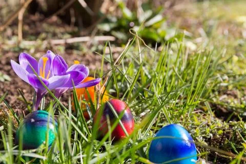 Easter eggs in the grass Stock Photos
