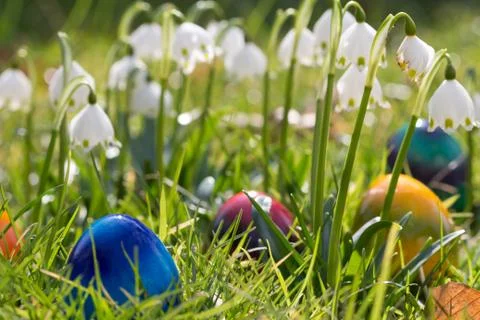 Easter eggs in the grass Foto stock