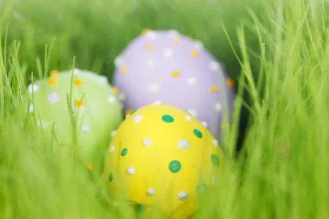 Easter eggs in grass Foto stock