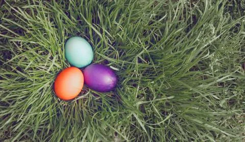 Easter eggs on grass Foto stock
