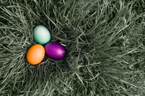 Easter eggs on grass Stock Photos