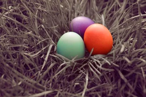 Easter eggs on grass Stock Photos