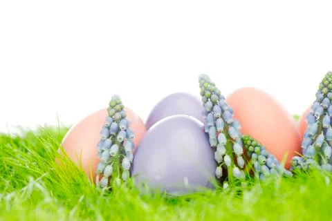Easter eggs in grass Stock Photos