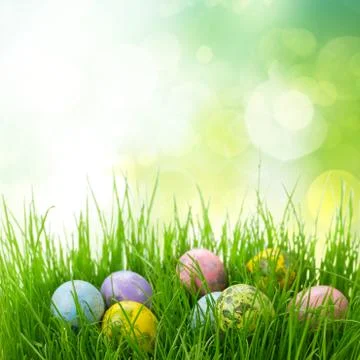 Easter eggs in grass Stock Photos