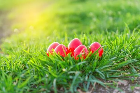 Easter eggs in grass Stock Photos