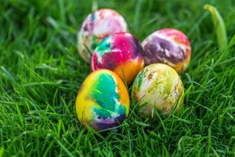 Easter eggs in grass. Stock Photos