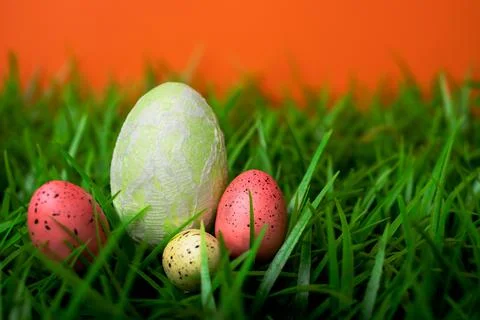 Easter eggs on the grass Stock Photos