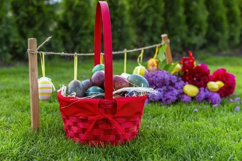Easter eggs in grass. Stock Photos