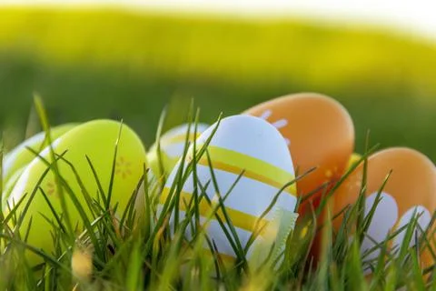 Easter eggs in grass. Stock Photos
