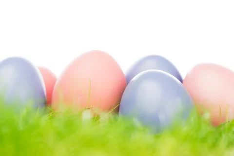 Easter eggs in grass Stock Photos