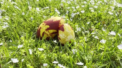 Easter Eggs grass spring flowers bloom Stock Footage 307906258
