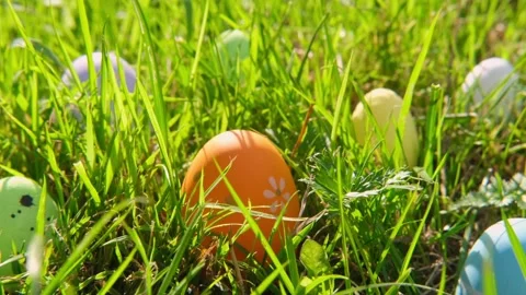 Easter eggs on the grass. Sunny positive climate. Egg hunt Stock Footage 264996555