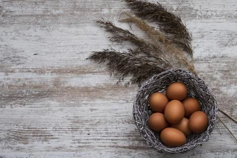 Easter eggs on a gray wooden table. Easter mockup with eggs and plant branches Stock Illustration