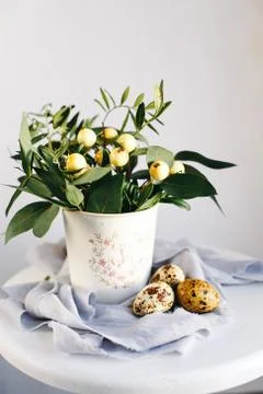 Easter eggs with green branches and yellow berries on white and gray backgrou Stock Photos
