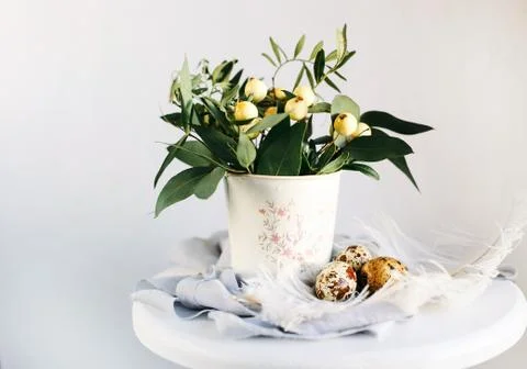 Easter eggs with green branches and yellow berries on white and gray backgrou Stock Photos