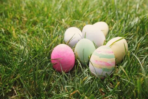 Easter eggs in green grass, easter concept Stock Photos