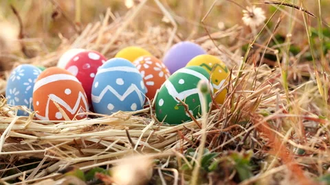 Easter eggs on green grass flowers background, Dolly shot. Stock Footage 149758184