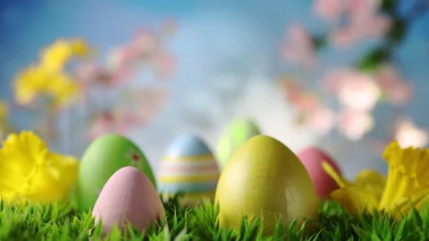 Easter Eggs on Green Grass Stock Footage 167169111