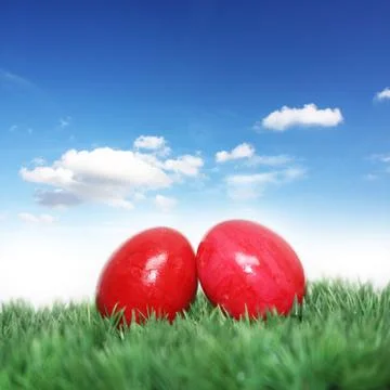 Easter eggs on green grass Stock Photos