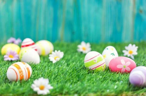 Easter Eggs on a green grass  Stock Photos