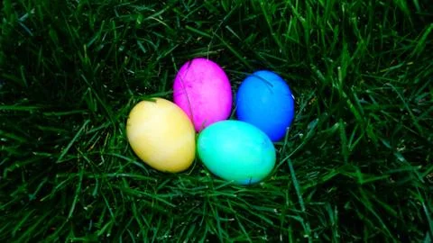 Easter eggs in the green grass Stock Photos