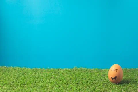 Easter eggs on the green grass. Stock Photos