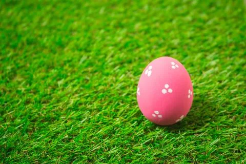 Easter eggs on the green grass. Stock Photos