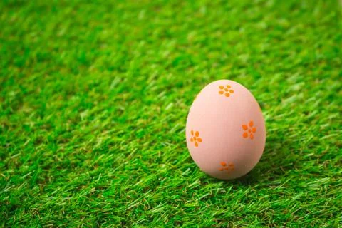 Easter eggs on the green grass. Stock Photos