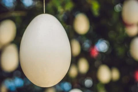 Easter eggs hang on ropes on a tree. Stock Photos