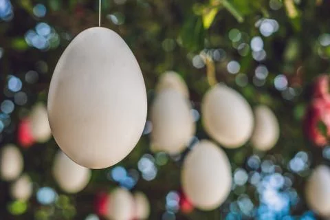 Easter eggs hang on ropes on a tree. Stock Photos