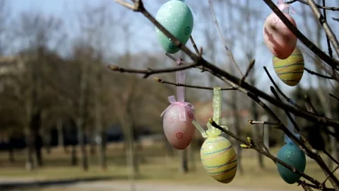 Easter eggs hang on tree branches on a sunny day in the park Stock Footage 234513185