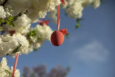 Easter eggs hang from tree. Decoration for holiday. Stock Photos